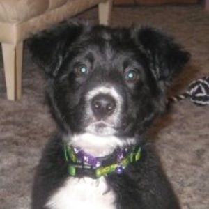 Meet your Posher, Josh